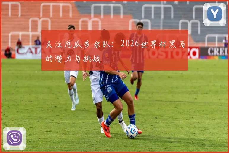 关注厄瓜多尔队:2026世界杯黑马的潜力与挑战