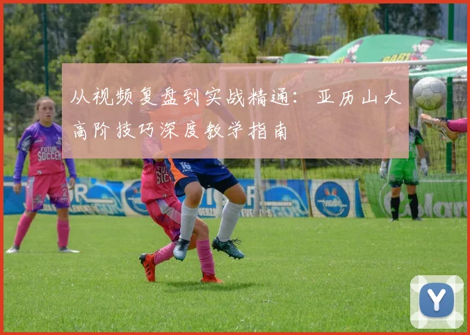 从视频复盘到实战精通：亚历山大高阶技巧深度教学指南
